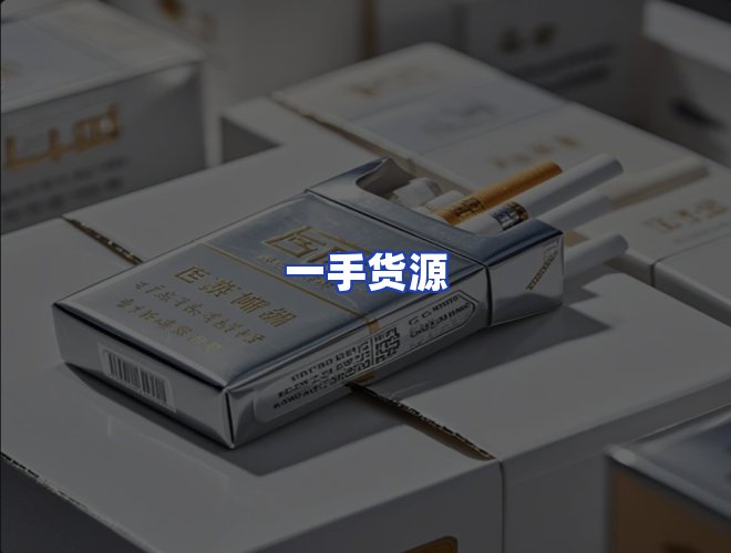 专业团队